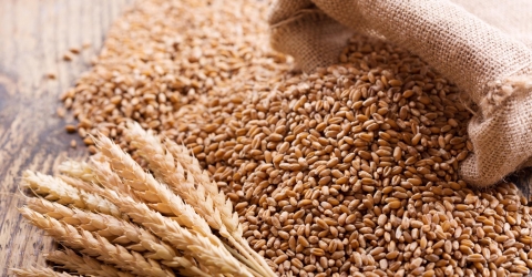 Grain products